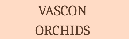 Vascon Orchids Linking Road Logo